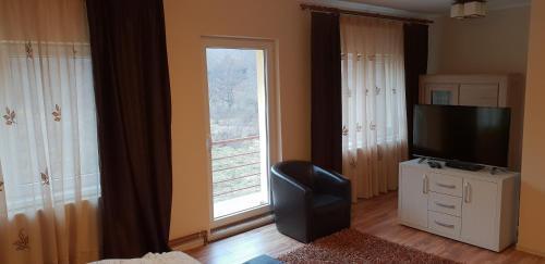 a living room with a television and a window at Casa Alina in Arpaşu de Sus