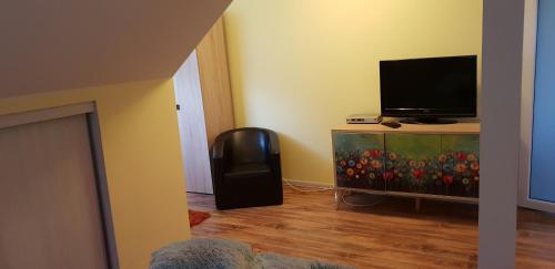 a living room with a television and a fish tank at Casa Alina in Arpaşu de Sus