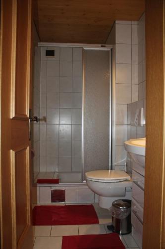 a bathroom with a shower and a toilet and a sink at Haus Netzer Irma in Sankt Gallenkirch