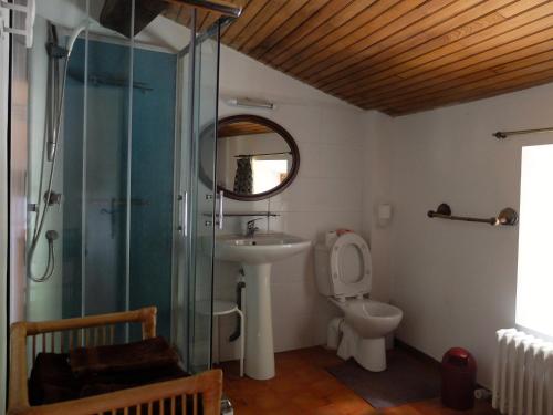 uma casa de banho com um chuveiro, um lavatório e um WC. em Chambres d'hôtes de l'Abbaye em Montbrun-les-Bains