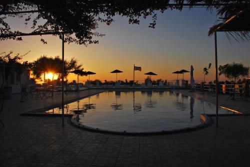 a large pool of water surrounded by palm trees at Santorini Camping/Rooms in Fira