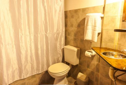 ein Bad mit einem WC und einem Waschbecken in der Unterkunft Inlandsis Aparts in El Chalten