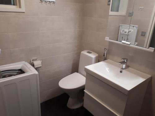 a small bathroom with a toilet and a sink at Vuokatti Slope Suite in Vuokatti