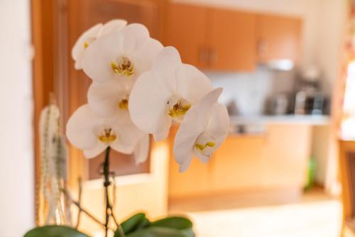Gambar di galeri bagi Appartementhaus Steirergasse by Schladming-Appartements di Schladming