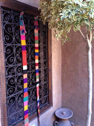 two ties hanging on a wall next to a tree at Riad Mehdia in Marrakech