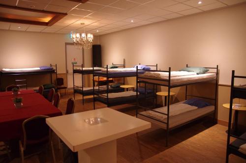 a room with several bunk beds on the wall at Hostel 45 in Purmerend