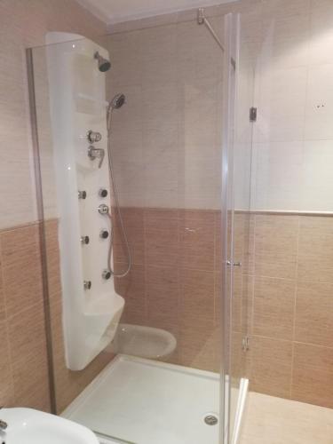 a shower with a glass door in a bathroom at Hotel Gardu in Montealegre del Castillo