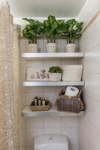 Acropolis, Urban Lifestyle apartment