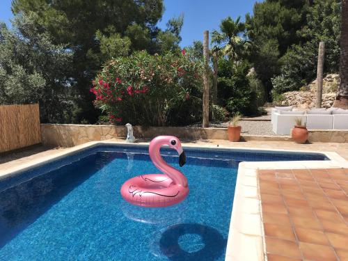 a pink flamingo float in a swimming pool at Casa Mallarenga B&B in Olivella