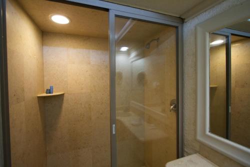 a bathroom with a shower with a glass door at Hotel Gobernador in Durango