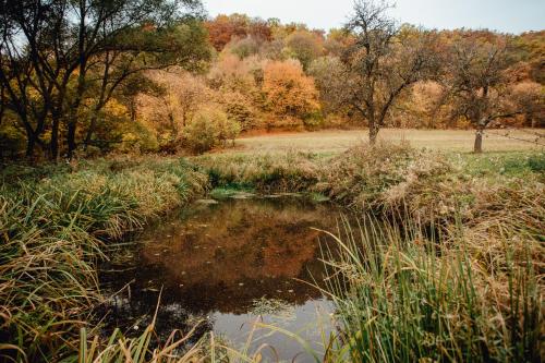 a body of water in a field with trees at Antošíkov majer in Banská Štiavnica