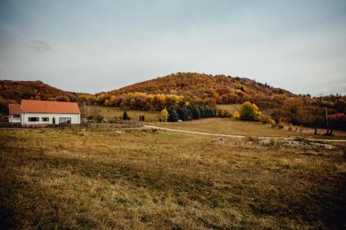 a house in the middle of a field with a mountain at Antošíkov majer in Banská Štiavnica