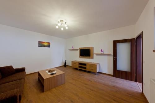 a living room with a couch and a tv at Penzion Linhart in Poděbrady