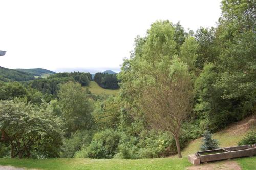 a bench in the middle of a field with trees at Gite Blanche Graine in Lapoutroie