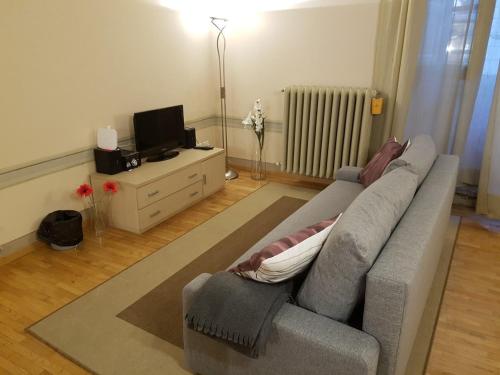 un soggiorno con divano e TV di La Santissima a Firenze