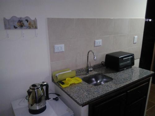 a kitchen counter with a sink and a microwave at ZUHAUSE in Puerto Iguazú