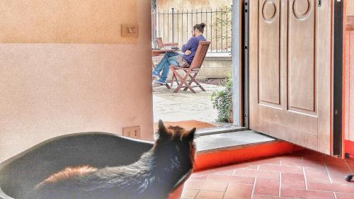 a cat looking out of a door at a man at Agriturismo Casa Agricola Rossi Appartamenti in Casentino in Soci