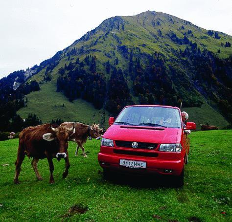 a red car parked in a field with a cow at Sporthotel Krone in Schoppernau