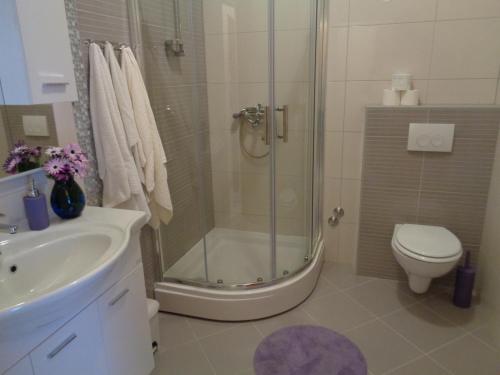 a bathroom with a shower and a toilet and a sink at Villa Zorana hostel in Hvar