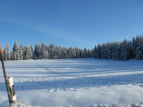 Photo de la galerie de l'établissement Ferienwohnung Bodehexe 2, à Braunlage