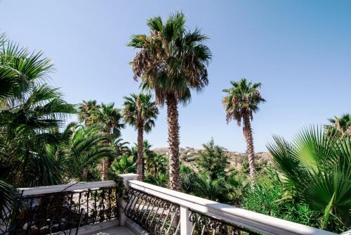 a balcony with palm trees and a blue sky at Viva Mare Hotel & Spa in Mithymna