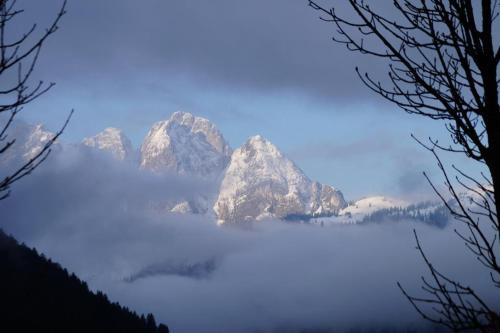 a view of a mountain range with snow on the ground at Loetje in Gosau