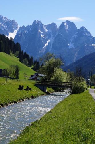 a river with cows in a field with mountains at Loetje in Gosau