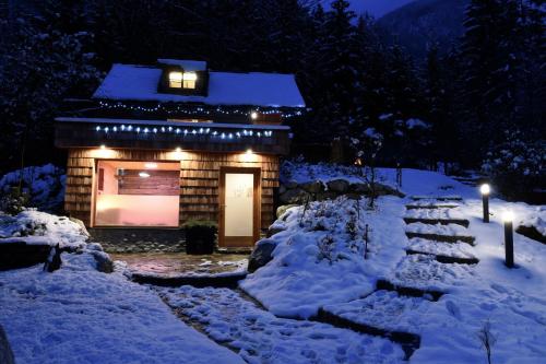 a log cabin with lights in the snow at night at Xeishittn SternenNest in Hieflau