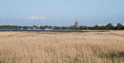 ein Feld mit hohem braunem Gras mit einem Gebäude im Hintergrund in der Unterkunft K02 Fischerkaten FENJA max 3 Pers in Dorf Körkwitz