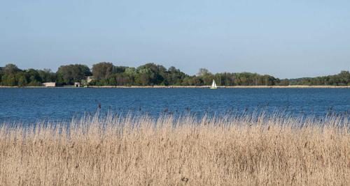 Loodusmaastik puhkemaja lähedal