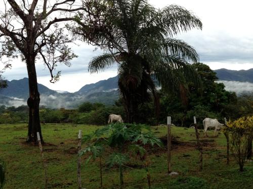 Un paisaje natural cerca de la posada