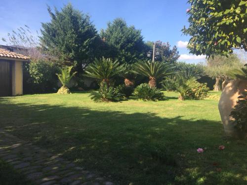 a garden with palm trees and a lawn at Villa Luisa in Montoro Inferiore