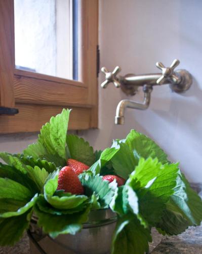 a plant in a pot next to a sink with strawberries at Contrada Beltramelli in Villa di Tirano
