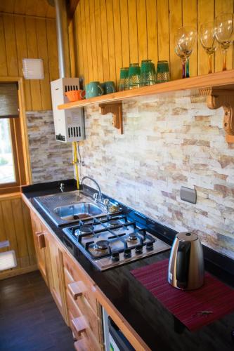 a kitchen with a sink and a stove top at Cabañas Cerro Huemules in Coihaique