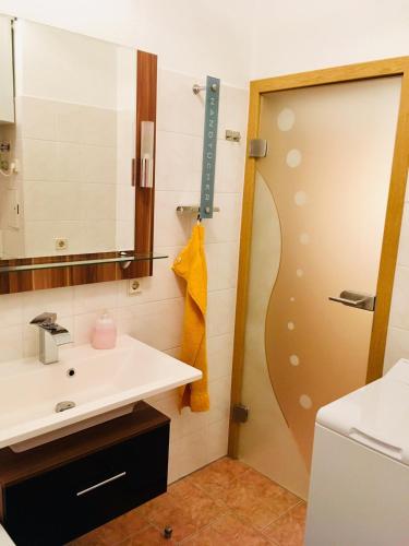 a bathroom with a sink and a shower with a mirror at Villa Linde Franke in Bernburg