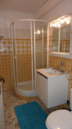 a bathroom with a shower and a sink and a toilet at Lou Candelou in Grasse