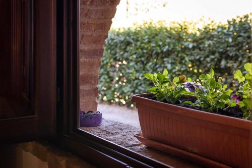 a window with a pot of flowers on a window sill at CasaJona Holiday in Poggibonsi