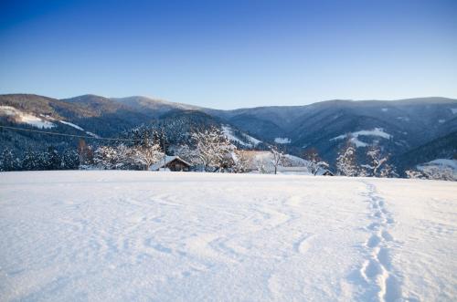 a snow covered slope with mountains in the background at Razborca in Mislinja