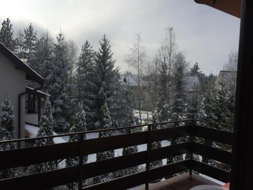 Foto de la galería de Apartments Dobra Vila en Zlatibor