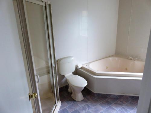 a bathroom with a toilet and a bath tub at Admirals Motor Lodge in Blenheim