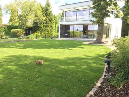 a dog standing in the grass in front of a house at Exklusive Seevilla Berlin direkt am Zeuthener See in Berlin