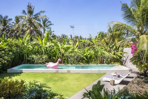 a pink flamingo in a pool in a garden at caSabama by Nakula in Keramas