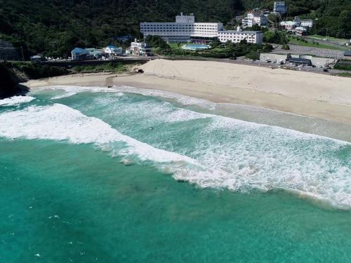 下田市にあるホテル伊豆急の海岸と海の空中を望む