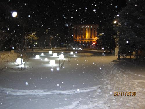 a park covered in snow at night at Aktobe Hotel in Aktobe