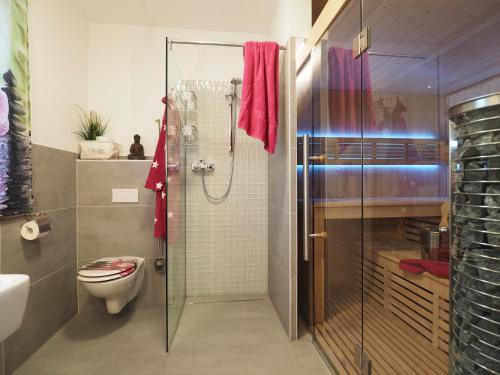 ZirchowにあるMeine kleine Sansibar - charmant und elegant, Sauna, Kamin, 600 qm Grundstückのバスルーム(トイレ、ガラス張りのシャワー付)