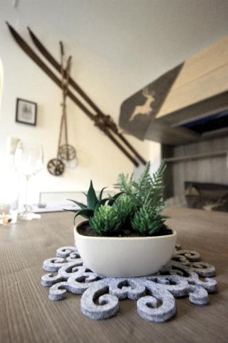 a bowl of plants sitting on top of a table at Apartment Edelweiss in Zell am See