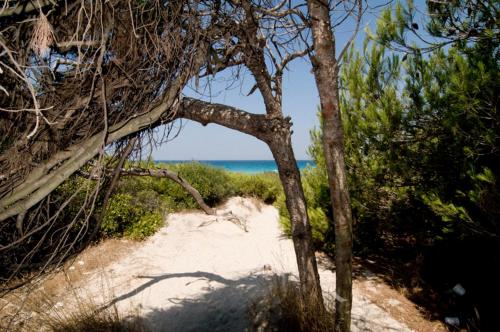 a sandy path on a beach with the ocean at Casa Direttamente sul mare in Marina di Mancaversa