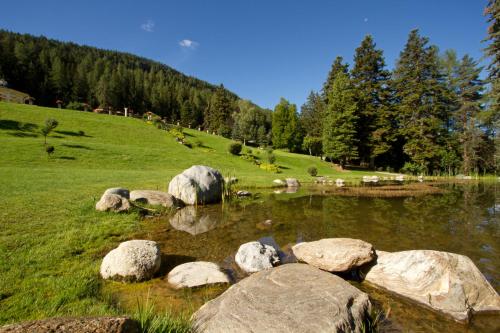 a group of rocks and a pond in a field at Hotel Villa Post in Vulpera
