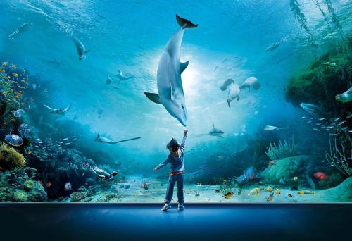 una persona in piedi in un acquario che guarda i pesci di You and Me a Lavagna