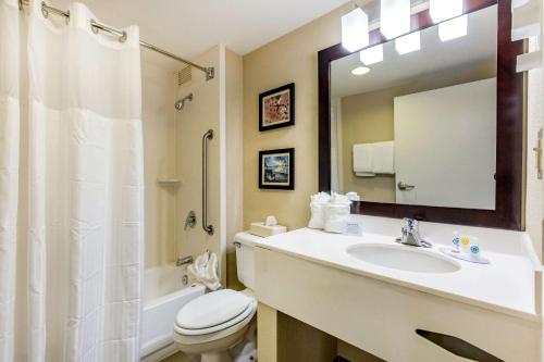 a bathroom with a sink and a toilet and a mirror at Comfort Inn College Park North in Beltsville